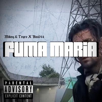 FUMA MARÍA (feat. Bini014) - Single