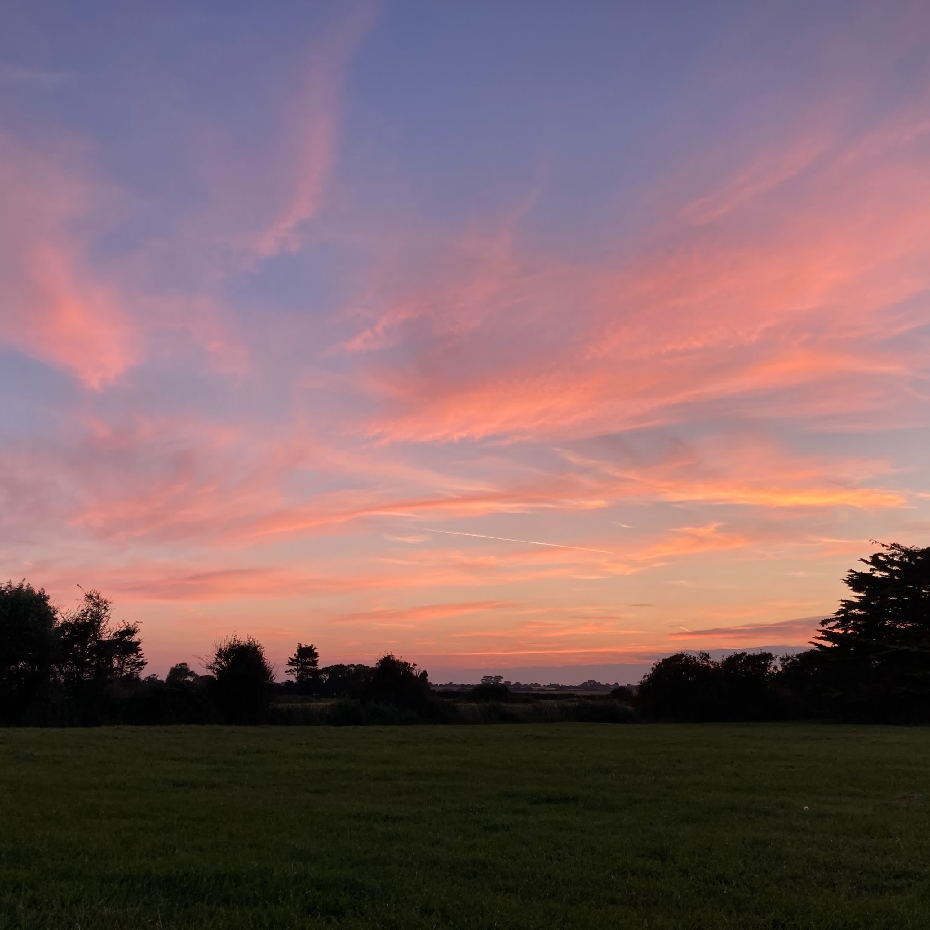 The Picnic Song - Single