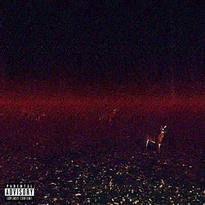 Floorboards/Stupid Teen (Bottle) [feat. gavthadon & Duffy333] - Single