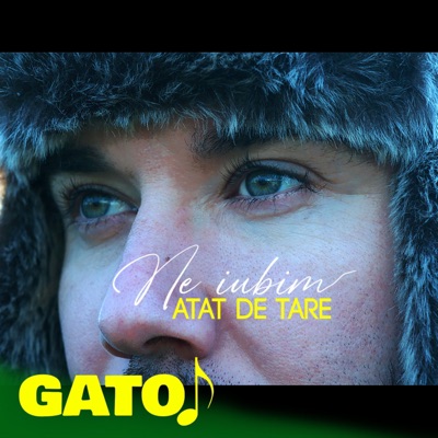 Ne iubim atat de tare - Single