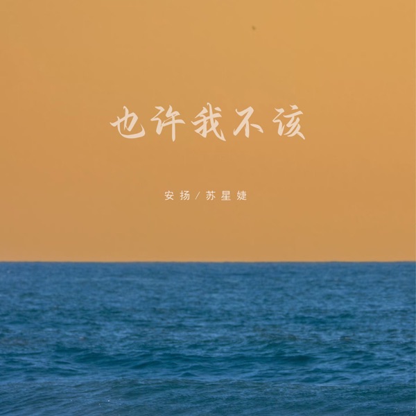 也许我不该 - Single