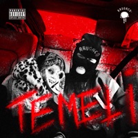 TEMELI 2 - Elinel