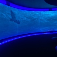 Over - Single - Norhye