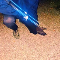 NECROPHILIAC - Single - Vylet