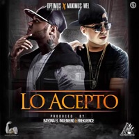 Lo Acepto (feat. Maximus Wel) - Single - Optimus