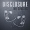 White Noise (feat. AlunaGeorge) [HudMo Remix] - Disclosure lyrics