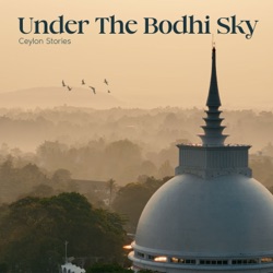 Under The Bodhi Sky (Instrumental Version)