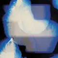 Petula