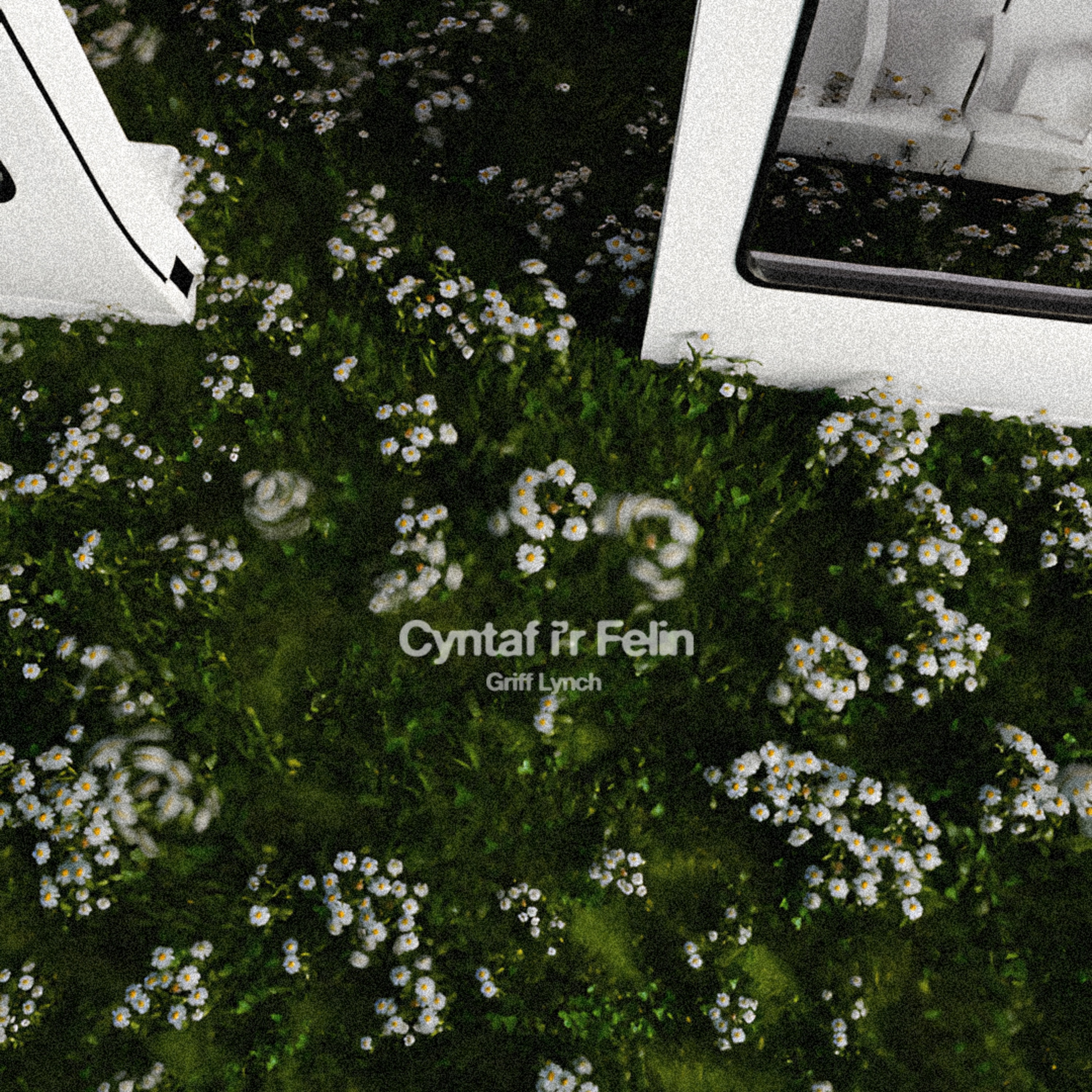 Cyntaf i’r Felin - Single