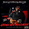 Hollywood Hayes - My Baby