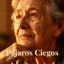 Pájaros Ciegos - Single