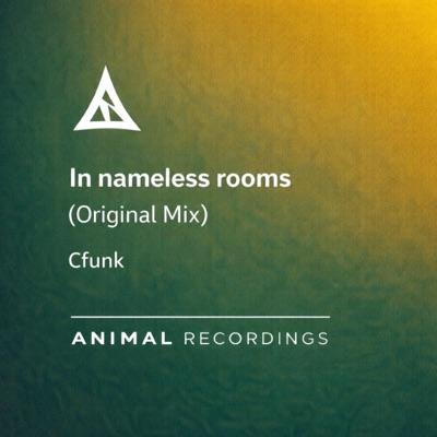 In nameless rooms (feat. Cfunk) - Single