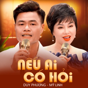 Nếu Ai Có Hỏi - Single