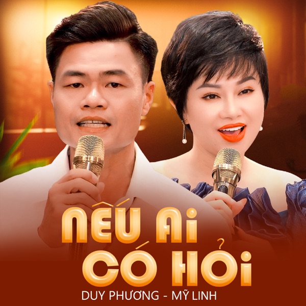 Nếu Ai Có Hỏi - Single