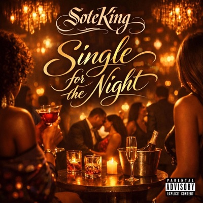 Single for the Night - Single
