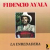 Fidencio Ayala - Eres todo todo