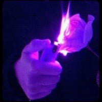 WHY? JASSAL, ANKIT - Single - CAPTAIN AZAD GMG