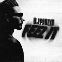 DJ Pauly D - Feel It