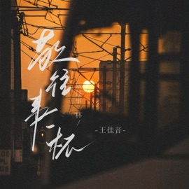 敬往事一杯 王佳音