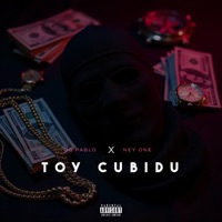 Toy Cubidu (feat. Ney One, MiyaggyProd & WNU Music) - Single - OG Pablo