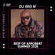 Best of Afrobeat Summer 2025 DJ Big N DJ Mix