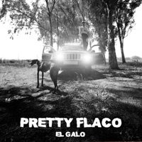 Pretty flaco (feat. Luttier) - Single - El galo mtgrs