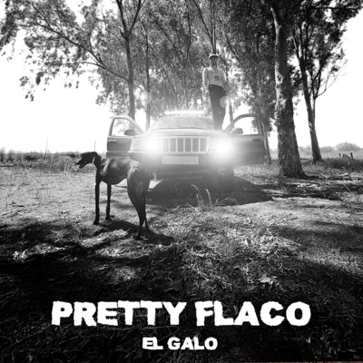 Pretty flaco (feat. Luttier) - Single