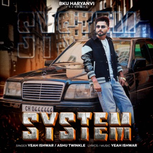 System