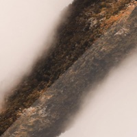 Mother Earth - Single - Center of Attention