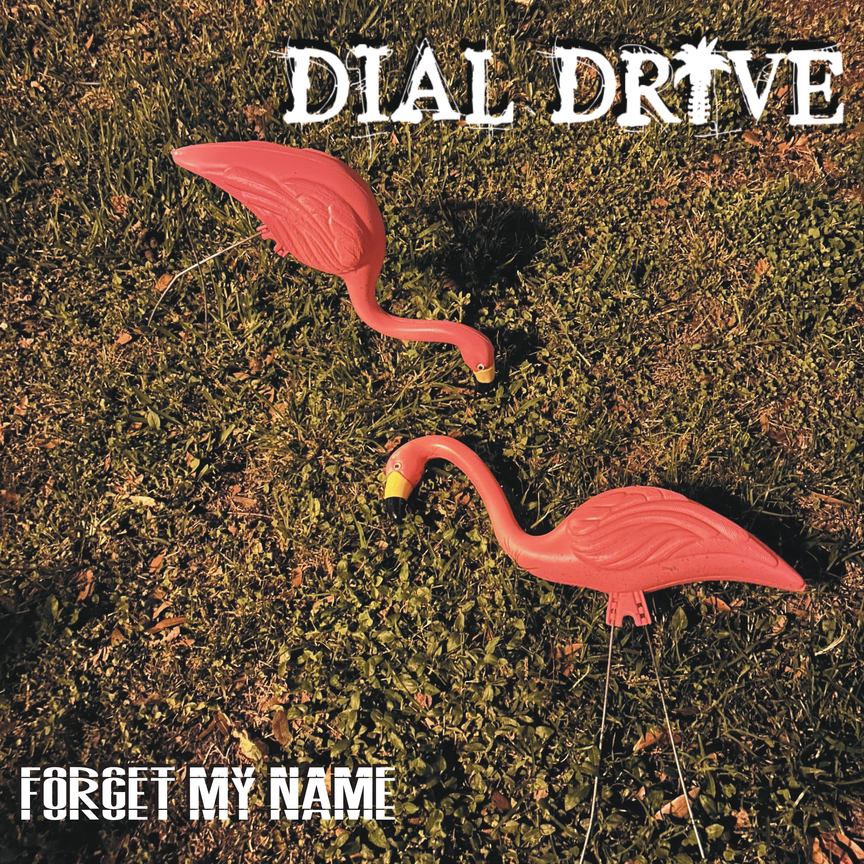 Dial Drive - Dial Drive - Forget My Name