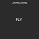 Fly