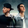 Mientes Tan Bien (Remix) - Single