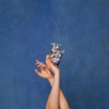 Starvation cover art