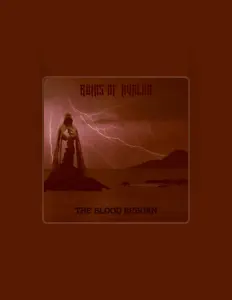 聆聽 Ruins of Avalon、觀看音樂影片、閱讀小傳、查看巡演日期等！