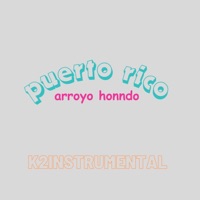 puerto rico arroyo hondo (feat. varios) - Single - k2instrumentalreal