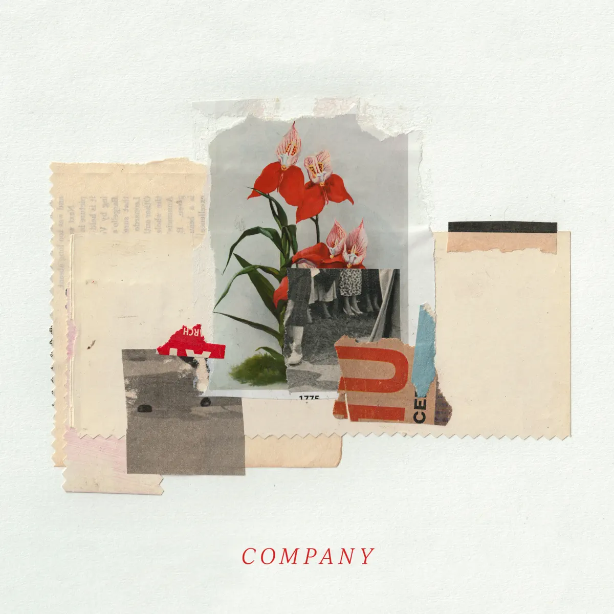 Richard Walters - Company - EP (2025) [iTunes Plus AAC M4A]-新房子