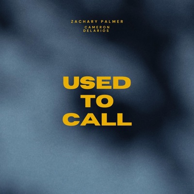Used To Call (feat. Cameron DeLarios) - Single
