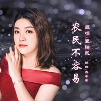 农民不容易 - Single - 袁瑞凤