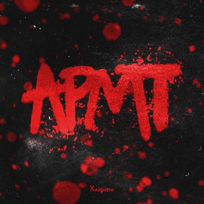 APMT - Single