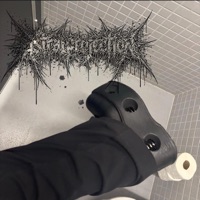 Poussière d’étoile, ma fleur de malice - Single - Astralproject1on