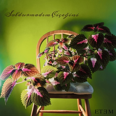 Soldurmadım Çiçeğini - Single