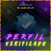 Perfil Verificado - Single - DJ Aleh da CT & MC Pele JS