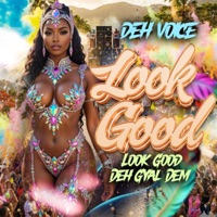 PAR-T Band - Look Good Look Good