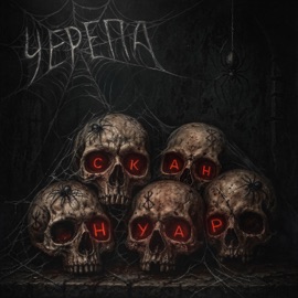 Бабочки Скан Нуар