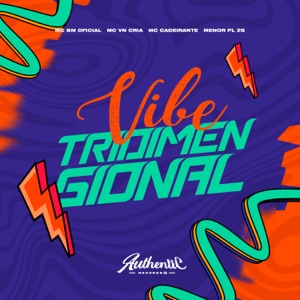 Vibe Tridimensional (feat. MC CADEIRANTE)