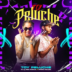 Toy Peluche