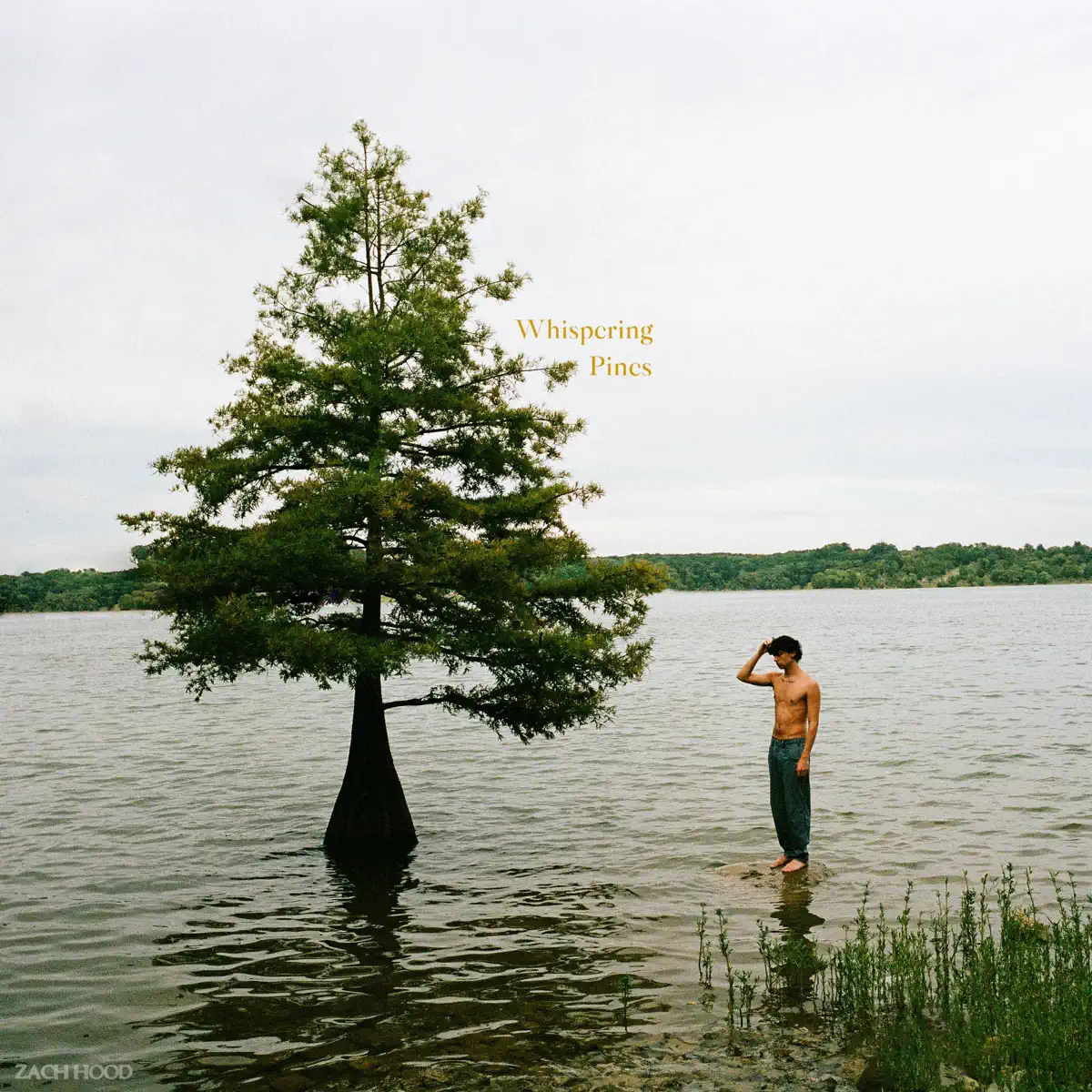 Zach Hood - Whispering Pines [pre-order] (2024) [iTunes Plus AAC M4A]-新房子