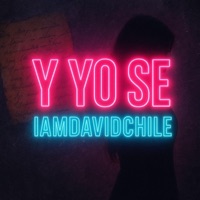 Y yo se - Single - IamDavidChile