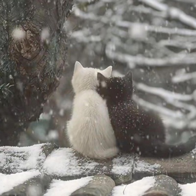 your hands are so cold - Single