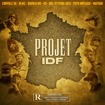 PROJET IDF (feat. SKVRLA MS, MUFASA, ALMZ, Diinsko, Yaya impliqué, Python loco, K2 officiel & Crapule) - Single